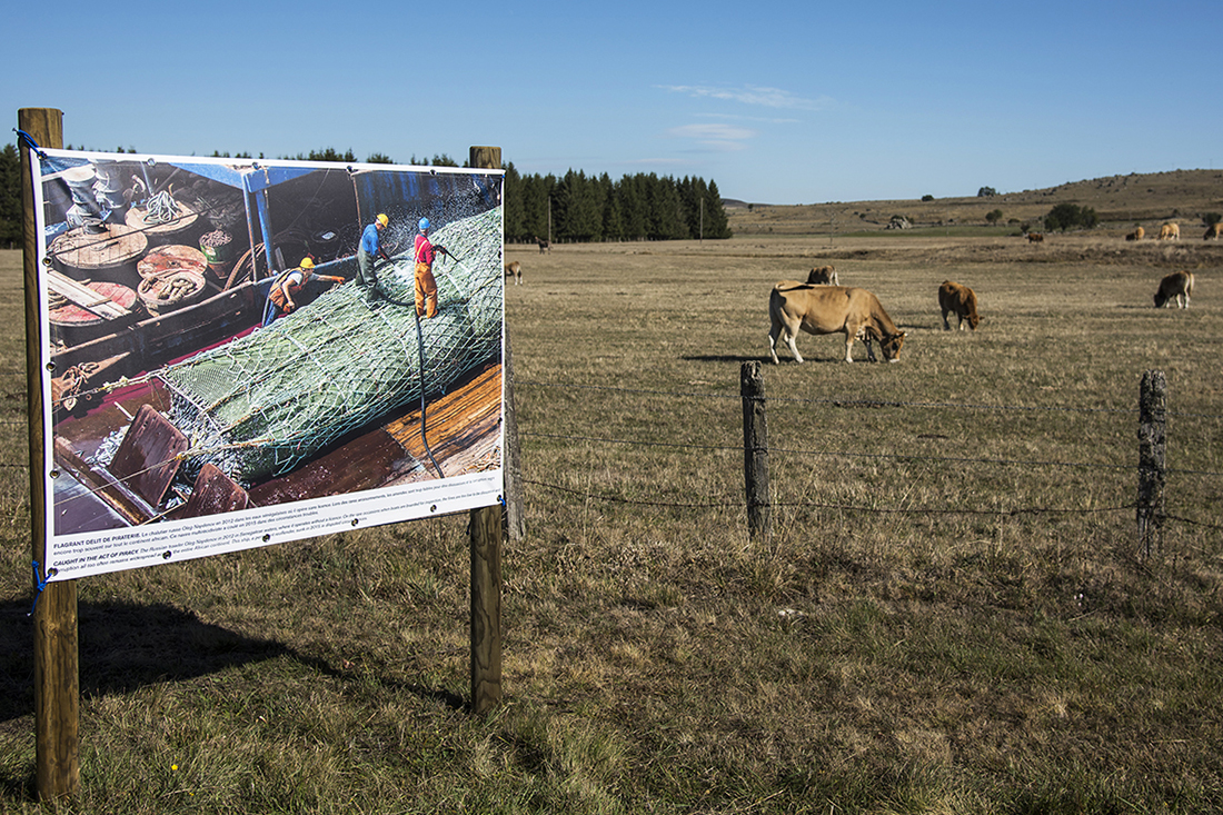 1-photo-aubrac-atelier-c-audiovisuel-expo-exterieur