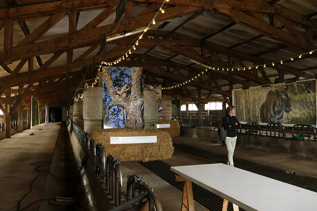 2-photo-aubrac-atelier-c-audiovisuel-expo-bergerie