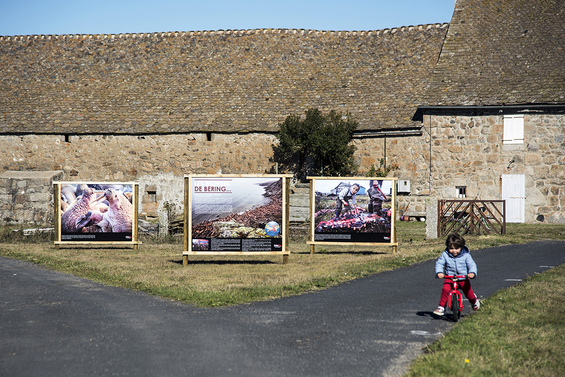 3-photo-aubrac-atelier-c-audiovisuel-expo-exterieur4
