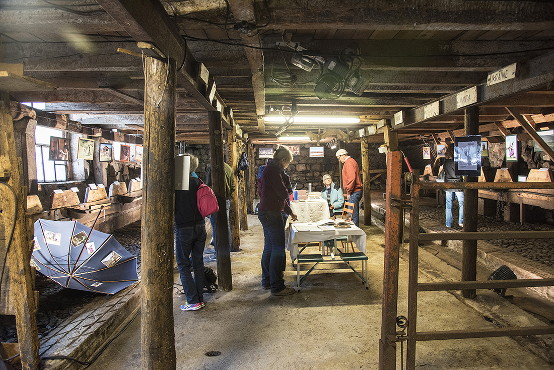 5-photo-aubrac-atelier-c-audiovisuel-expo-bergerie2