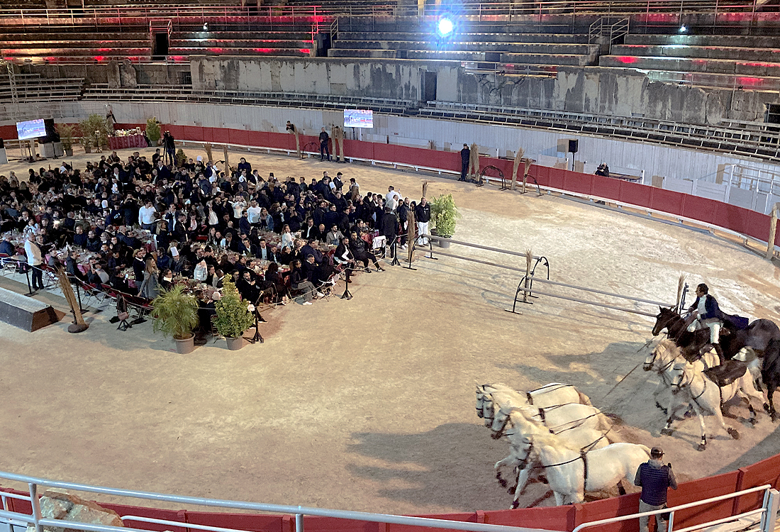 jaguar_arenes_arles_2021_4-copie