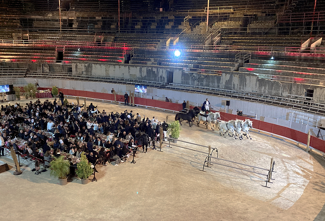 jaguar_arenes_arles_2021_5-copie