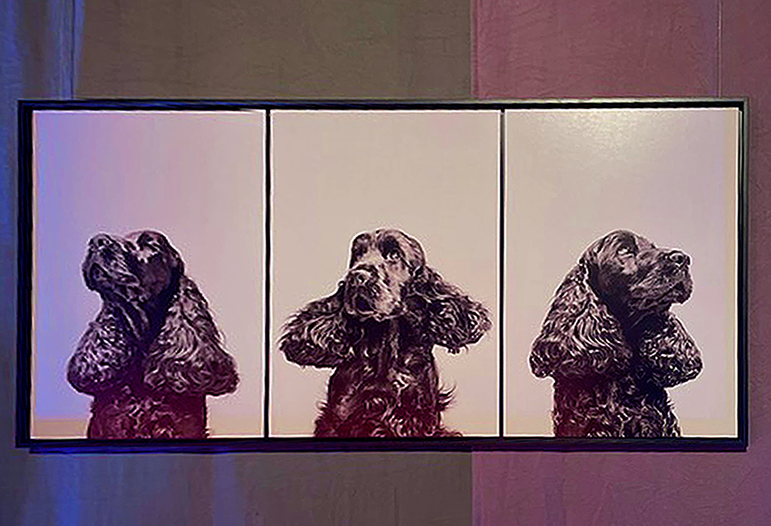 royal_canin_soiree_luma_2022_3