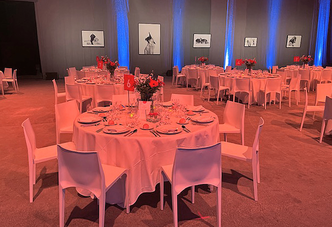royal_canin_soiree_luma_2022_4